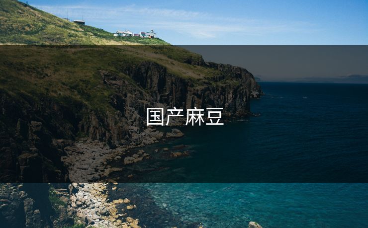 国产麻豆 国产麻豆