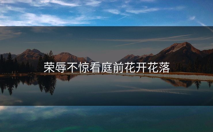 荣辱不惊看庭前花开花落