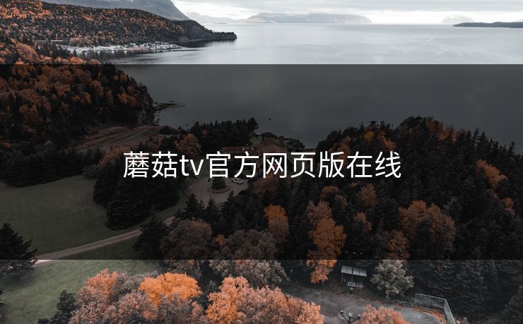 蘑菇tv官方网页版在线