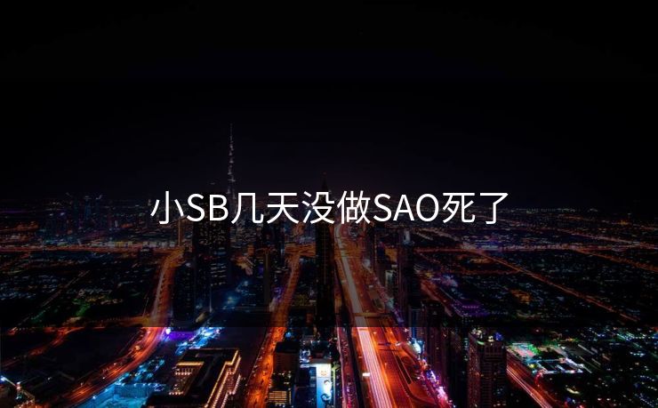 小SB几天没做SAO死了