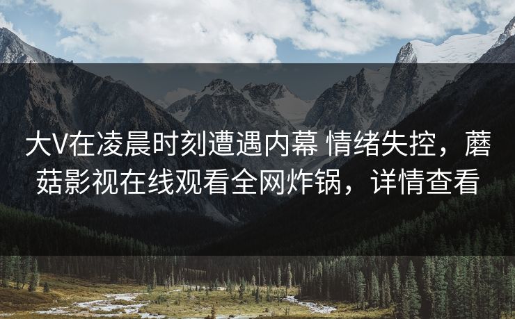 大V在凌晨时刻遭遇内幕 情绪失控，蘑菇影视在线观看全网炸锅，详情查看